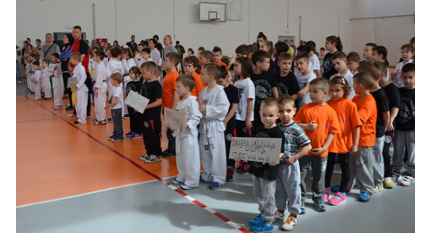 Održan VII Kup Pećinaca u tekvondou